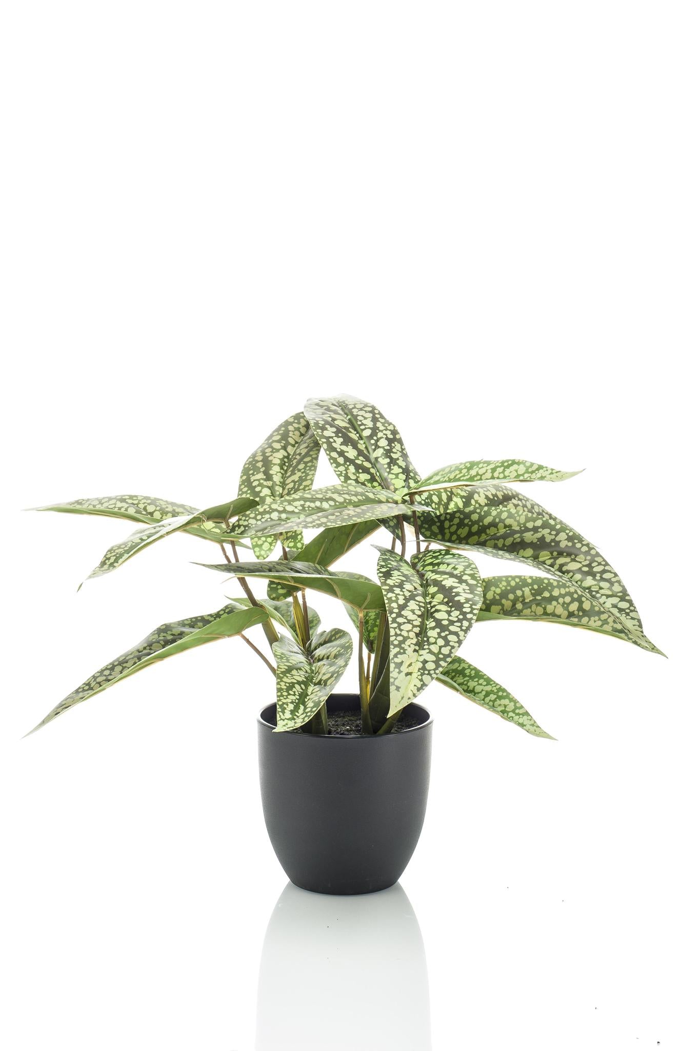 Comprar Calathea Artificial