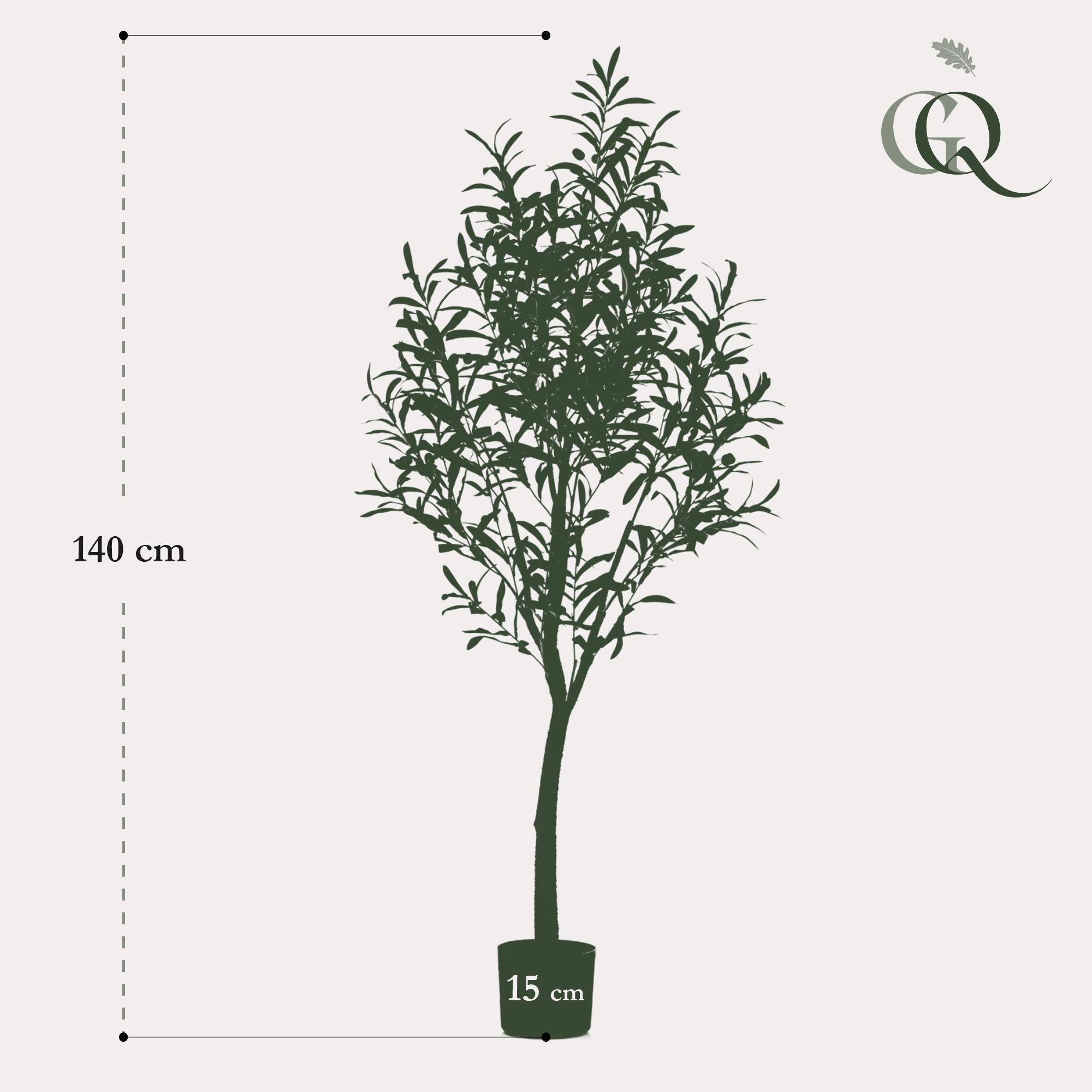 Oliveira Artificial (Olea europaea)