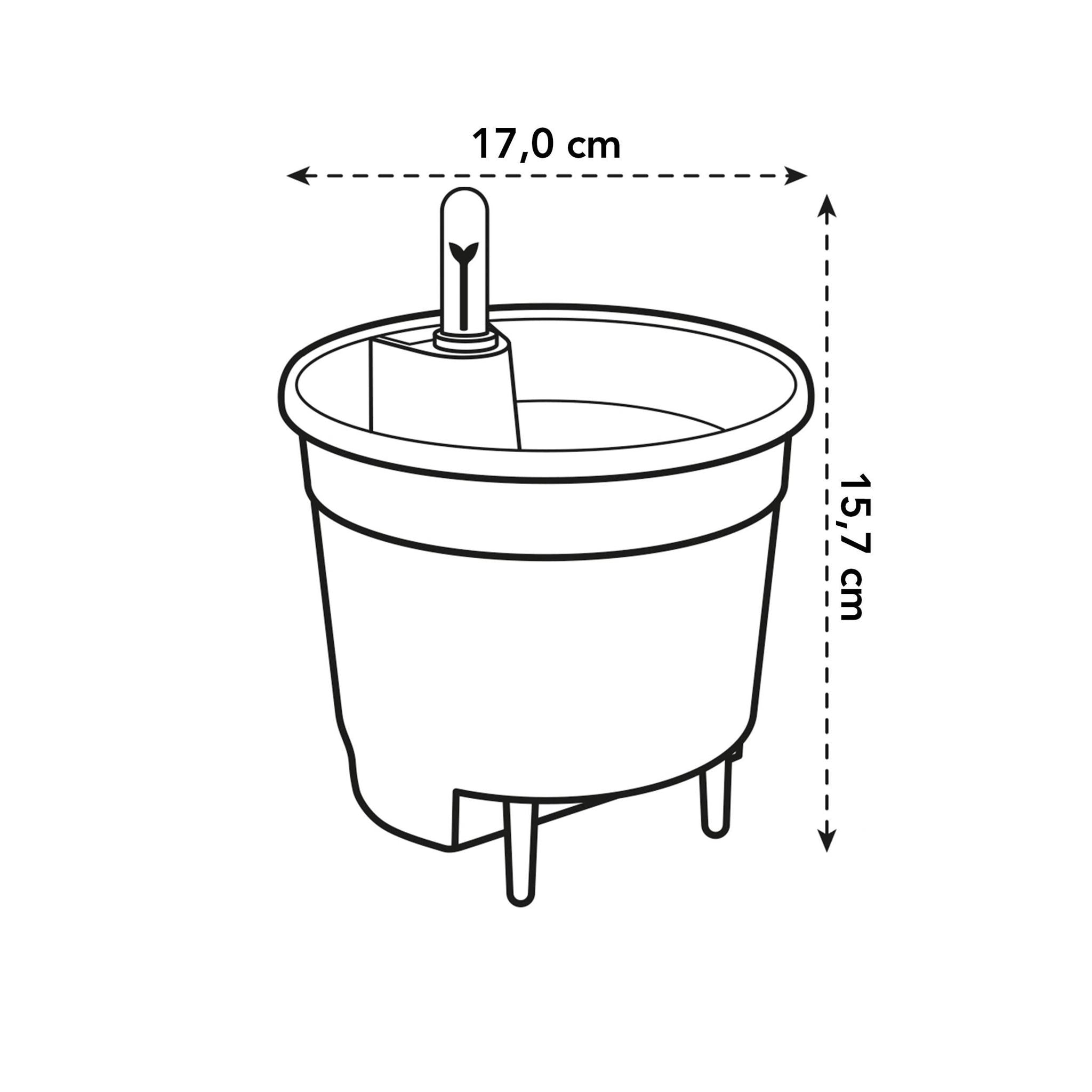 Système d’auto-arrosage pour plantes