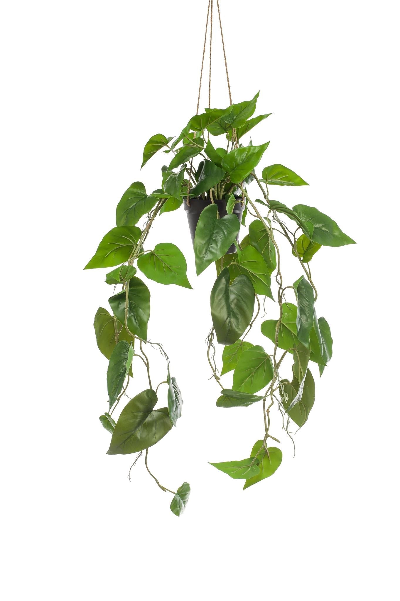 Comprar Philodendron scandens Artificial