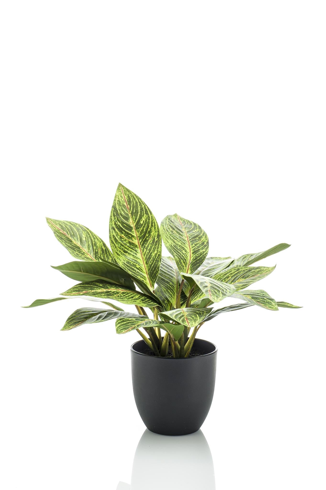 Croton Artificial Codiaeum