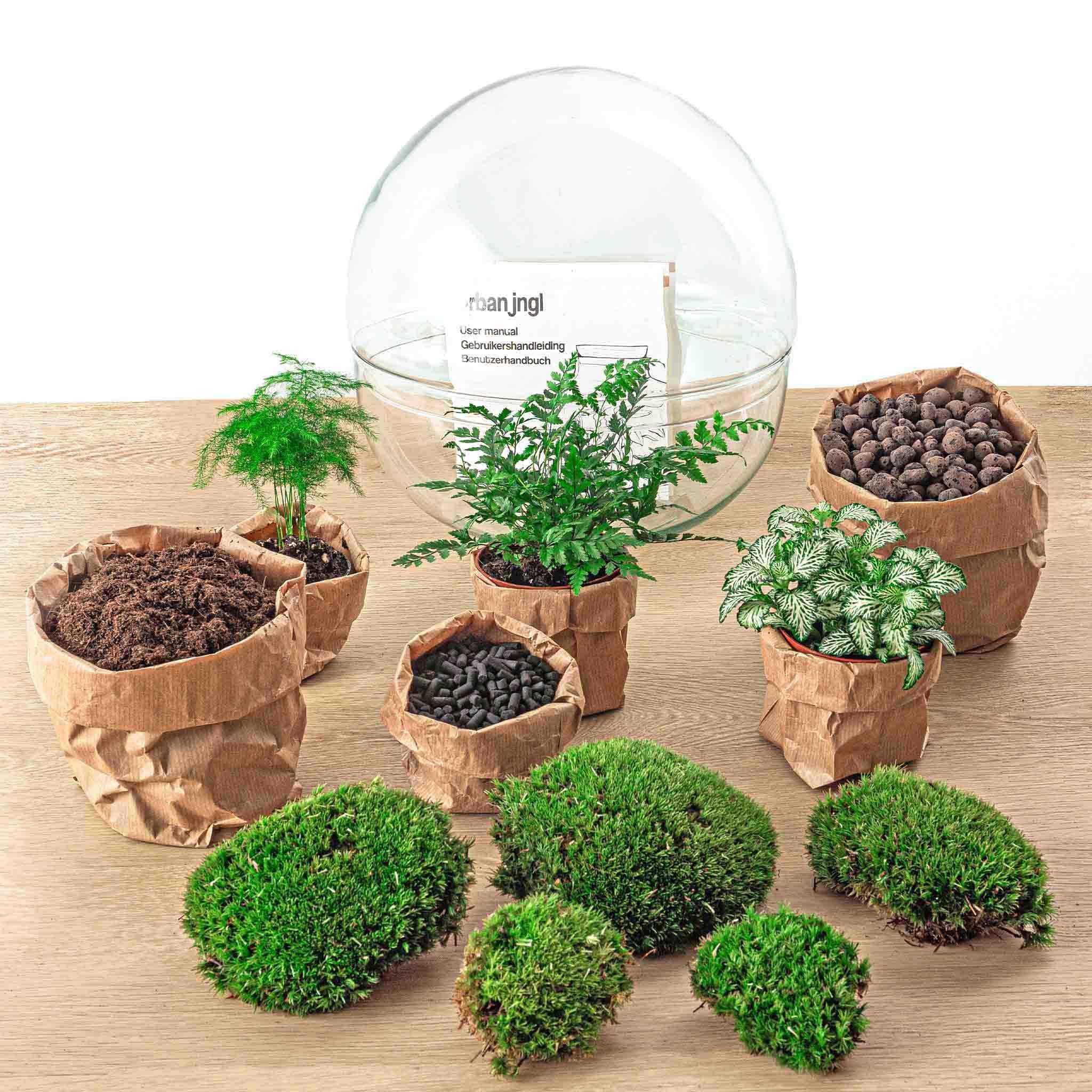 Terrarien XL Dome