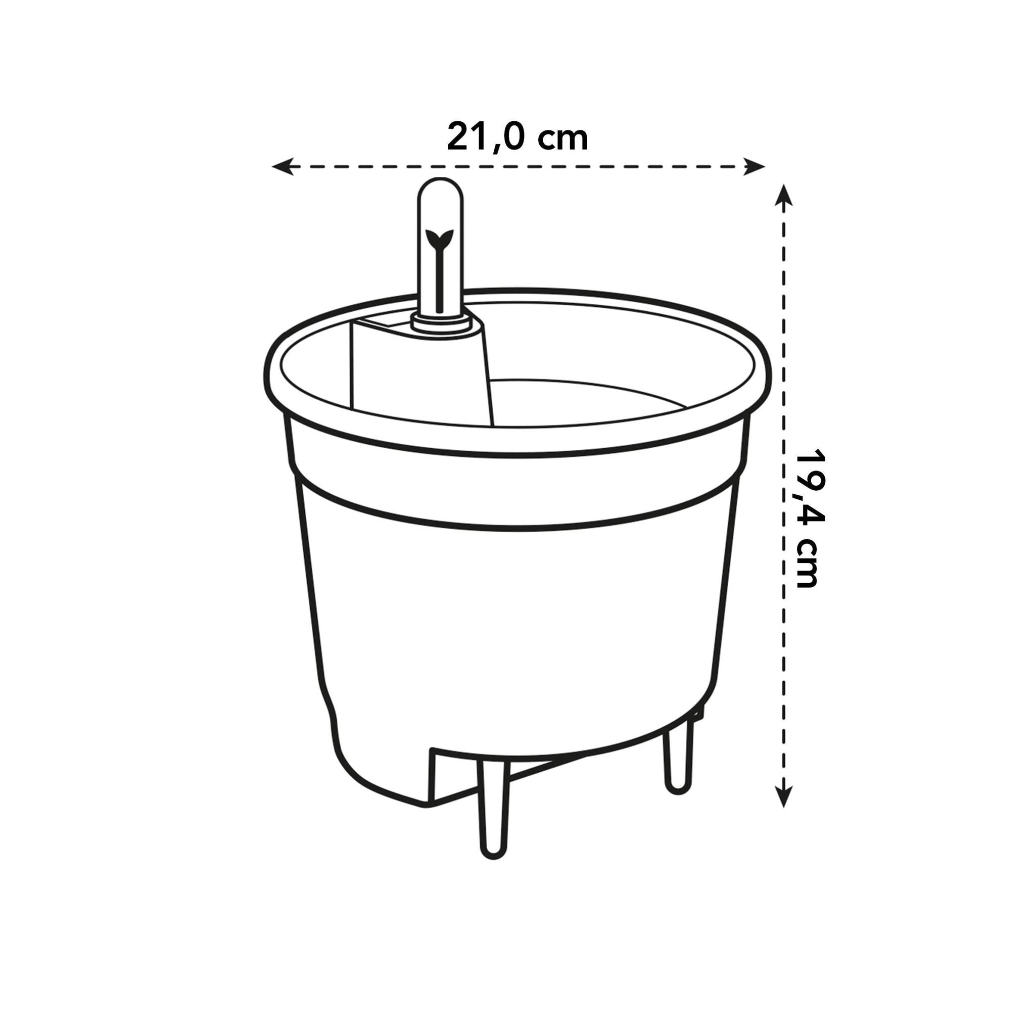 Système d’auto-arrosage pour plantes