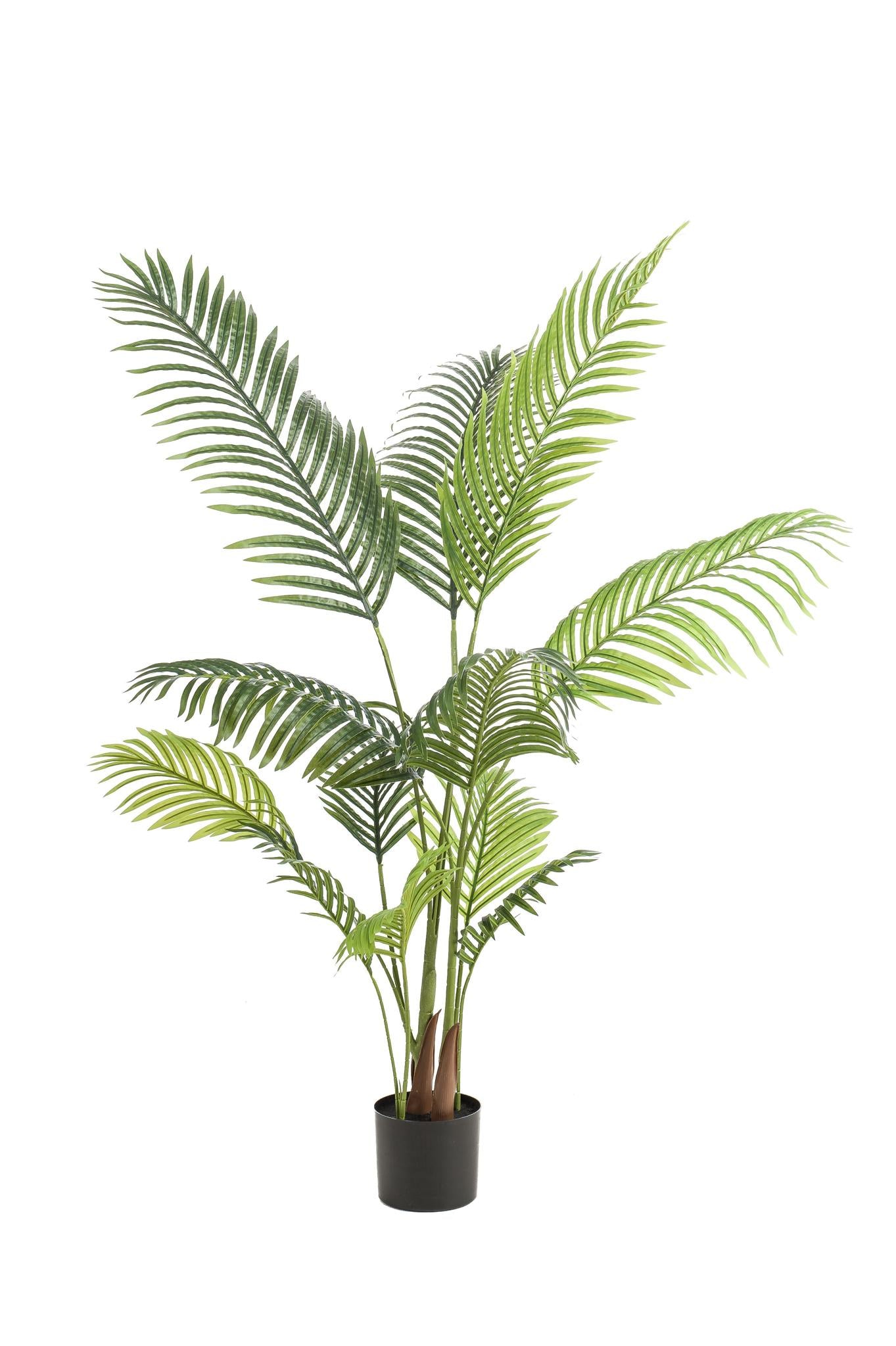 Comprar Howea Forsteriana Artificial