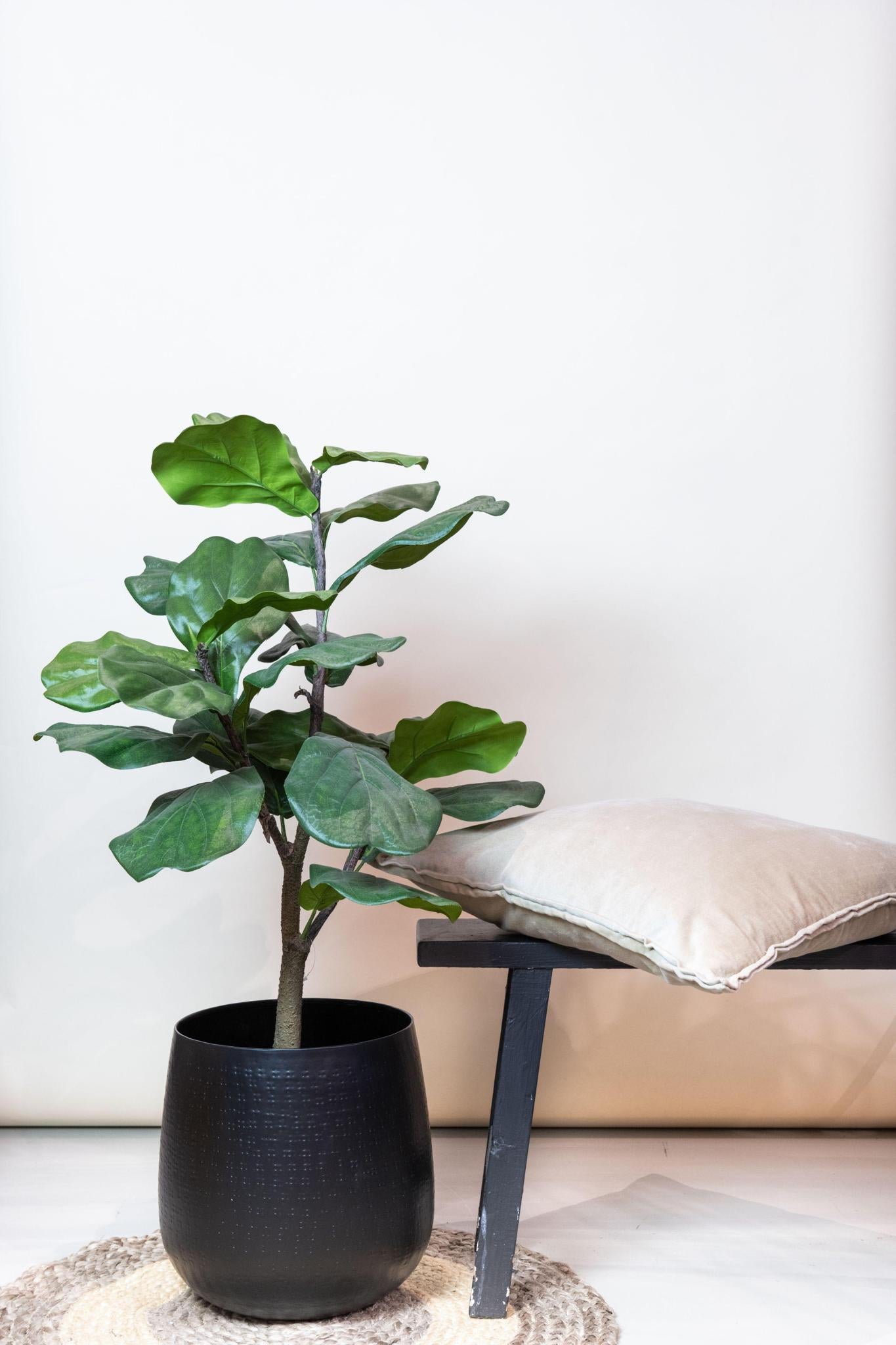 Comprar Ficus Lyrata Artificial realista