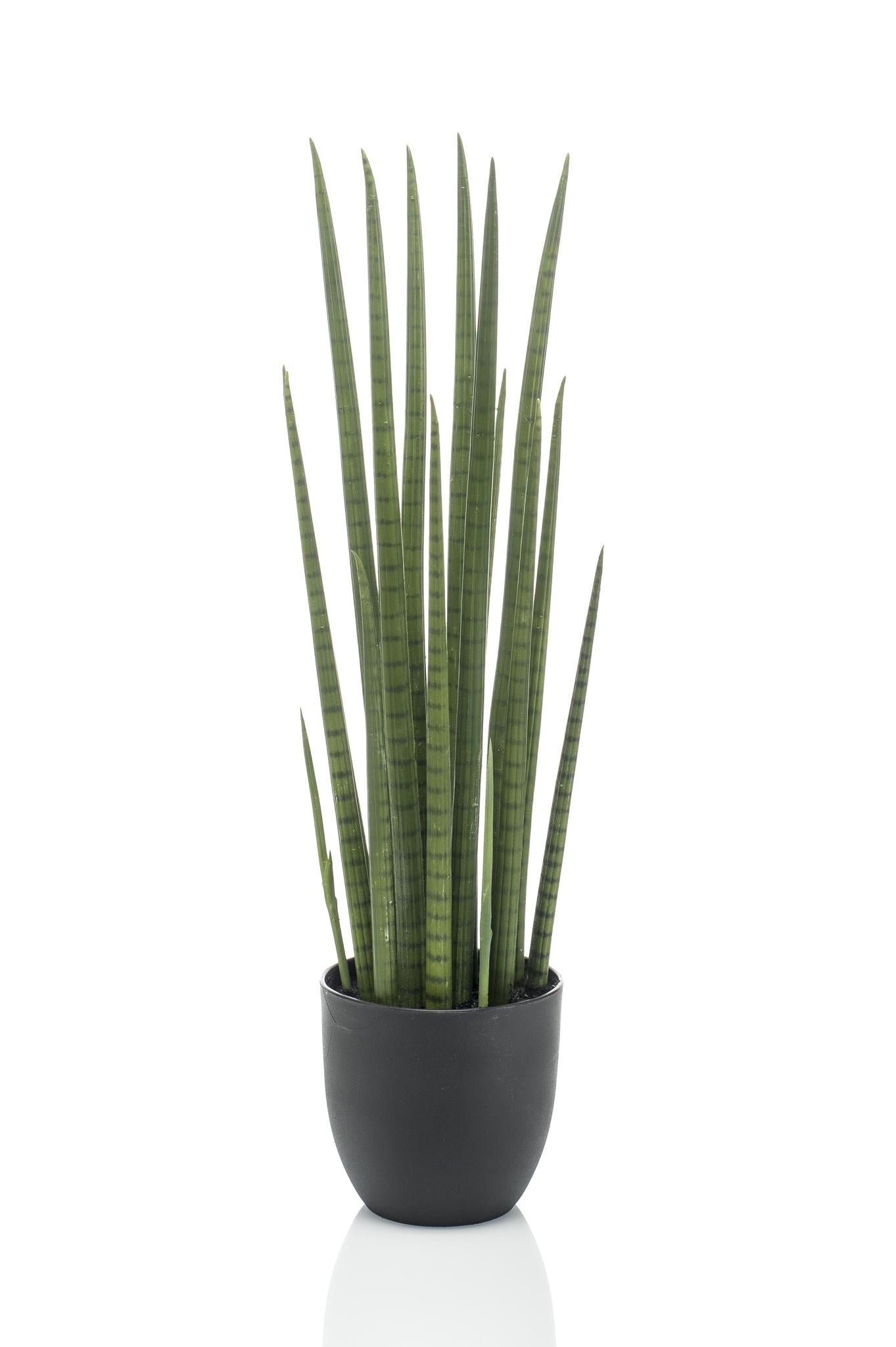 Comprar Sanseveria Cylindrica Artificial