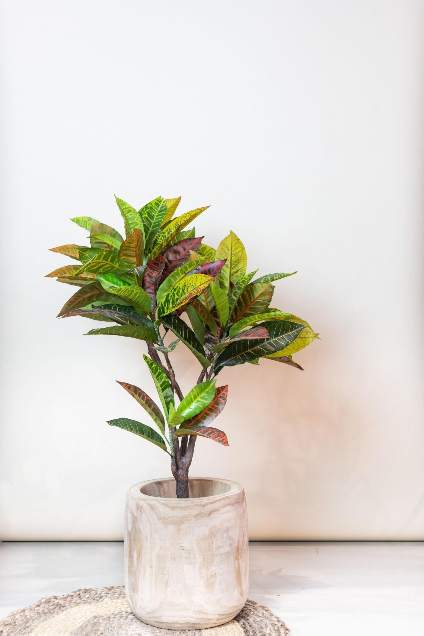 Croton Artificial Codiaeum