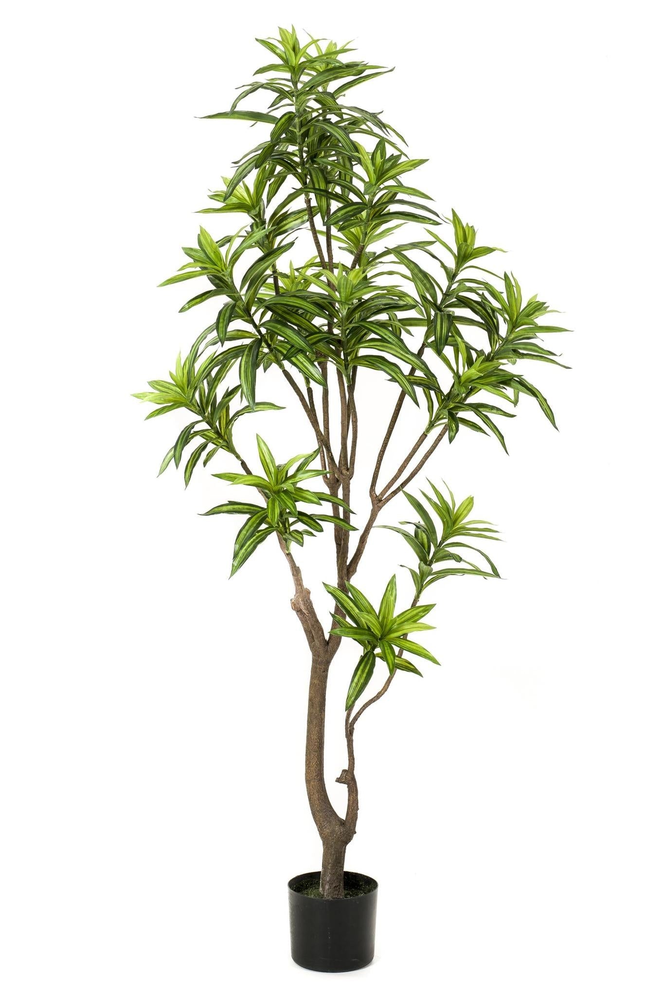 Dracaena Artificial grande comprar