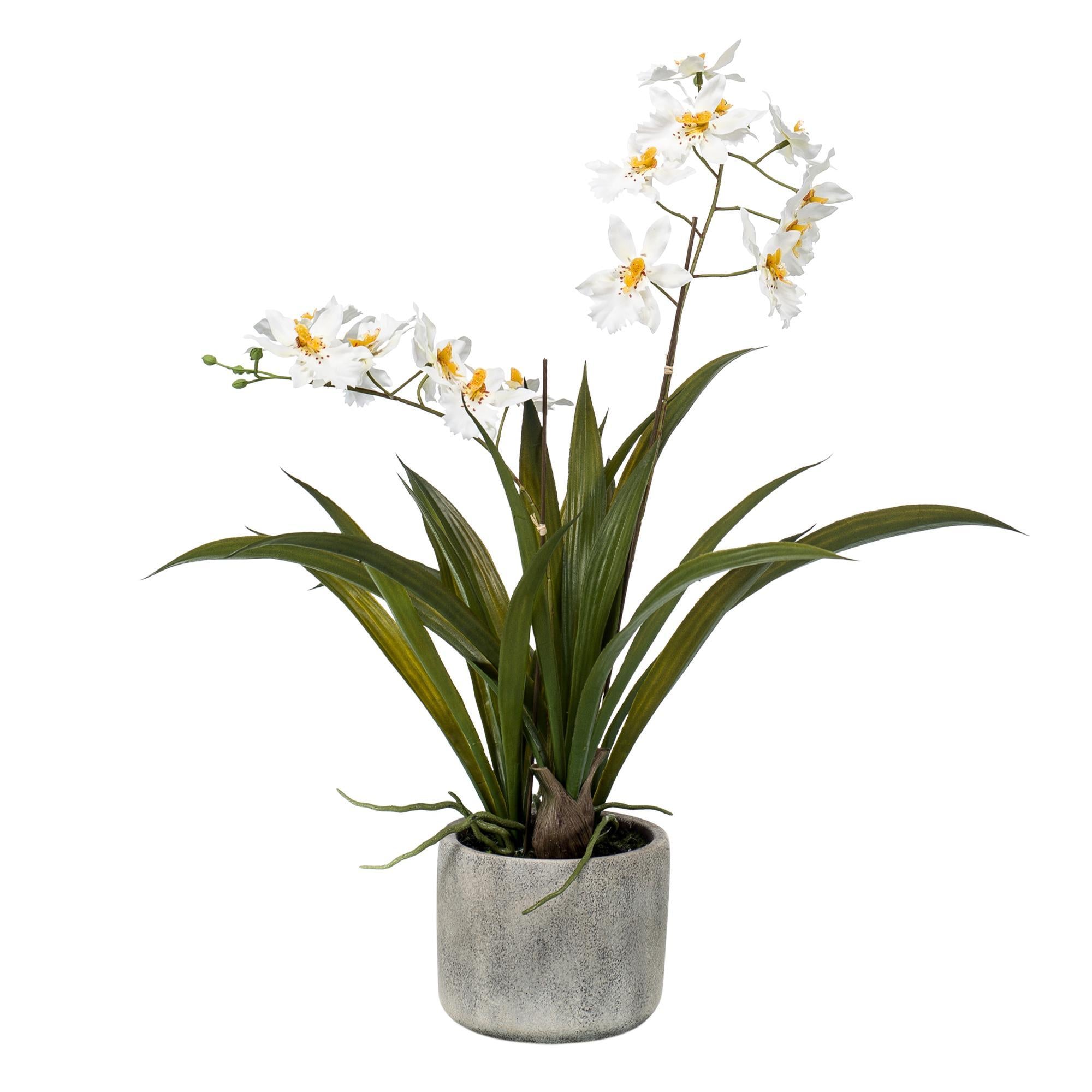 Comprar  Orquídea Artificial  Blanca