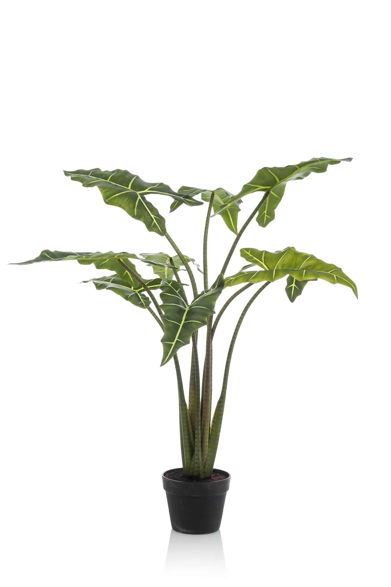 Künstliches Alocasia Frydek (Elefantenohr)