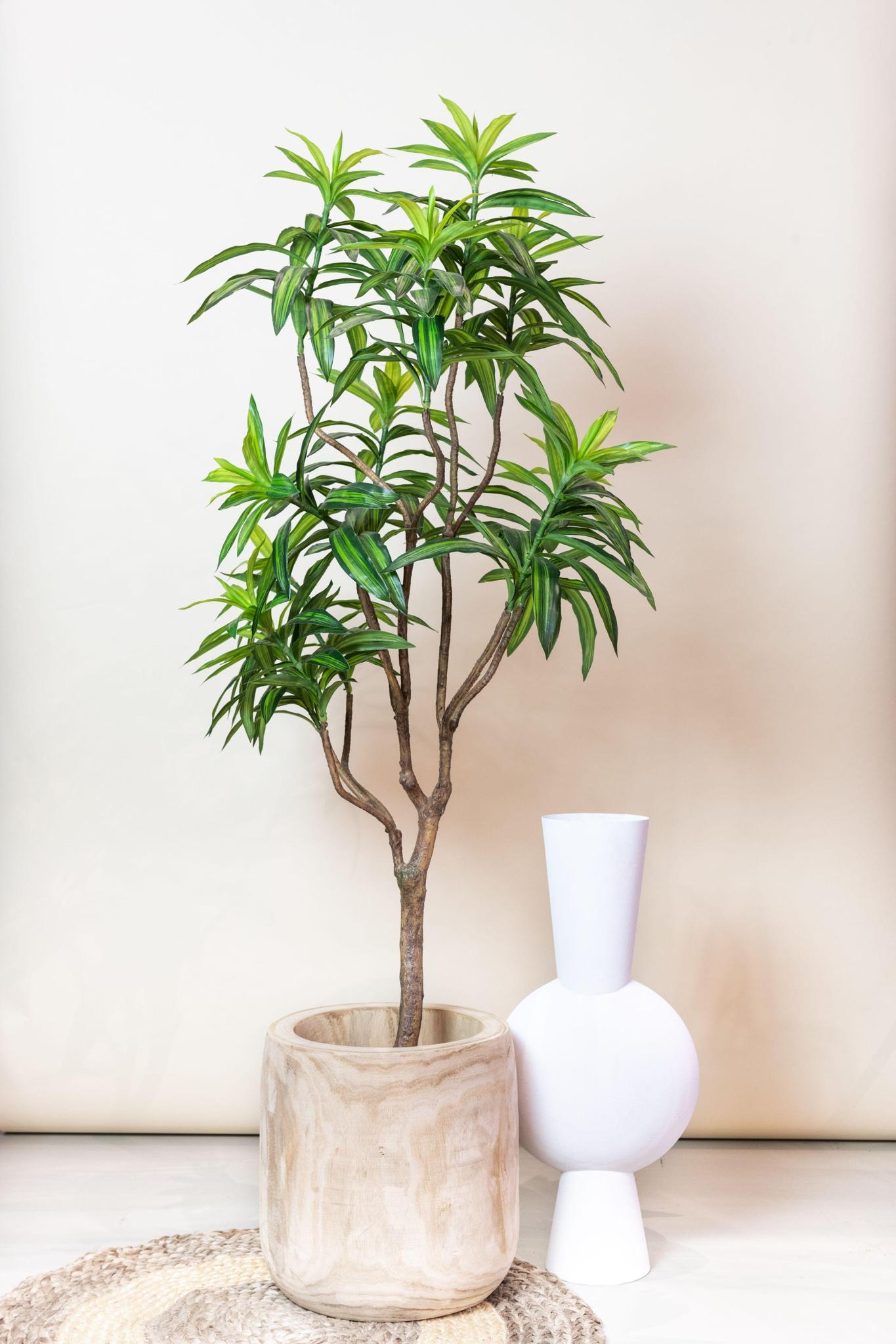 Dracaena Artificial