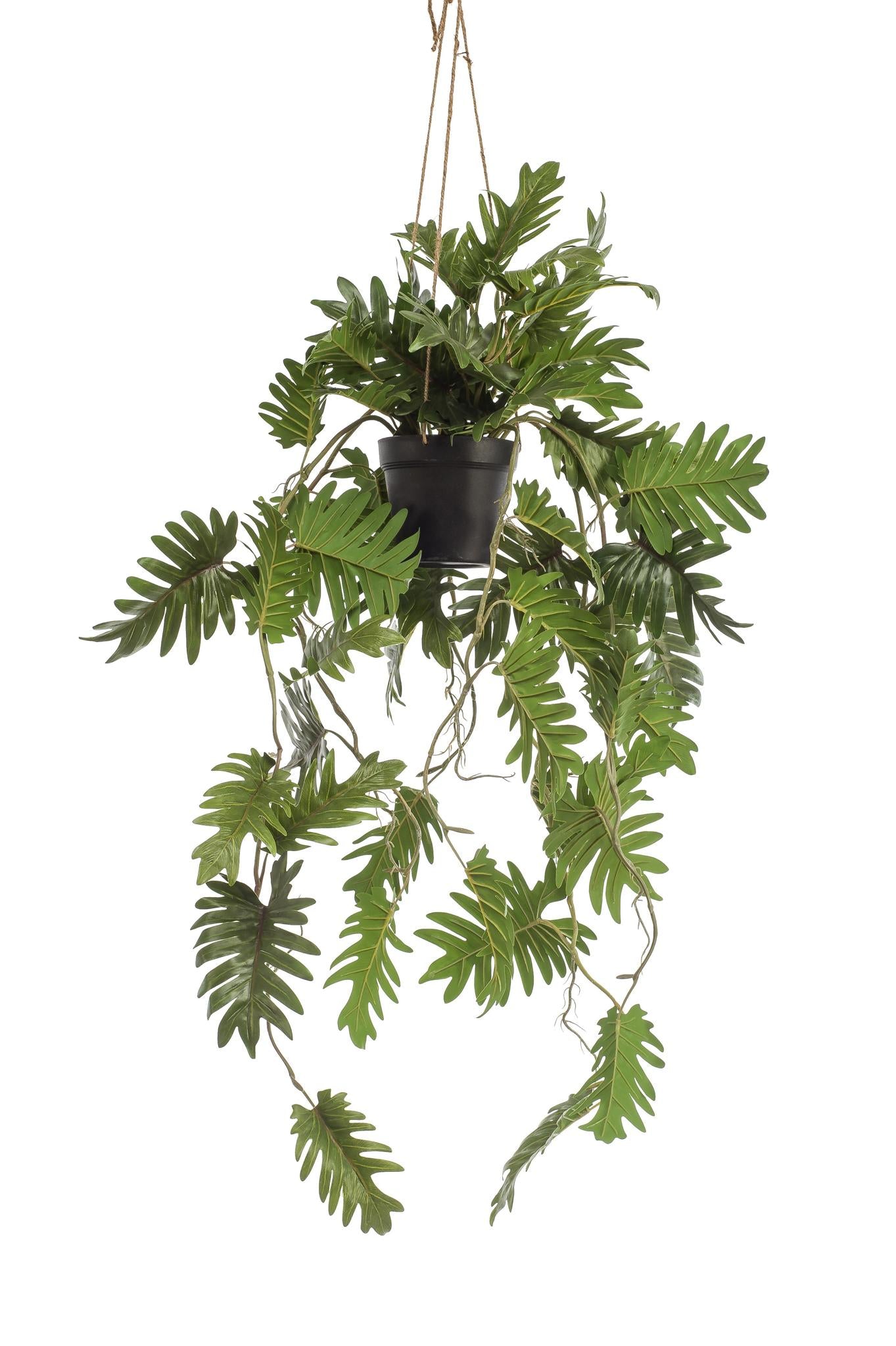 Comprar Philodendron Colgante Artificial 