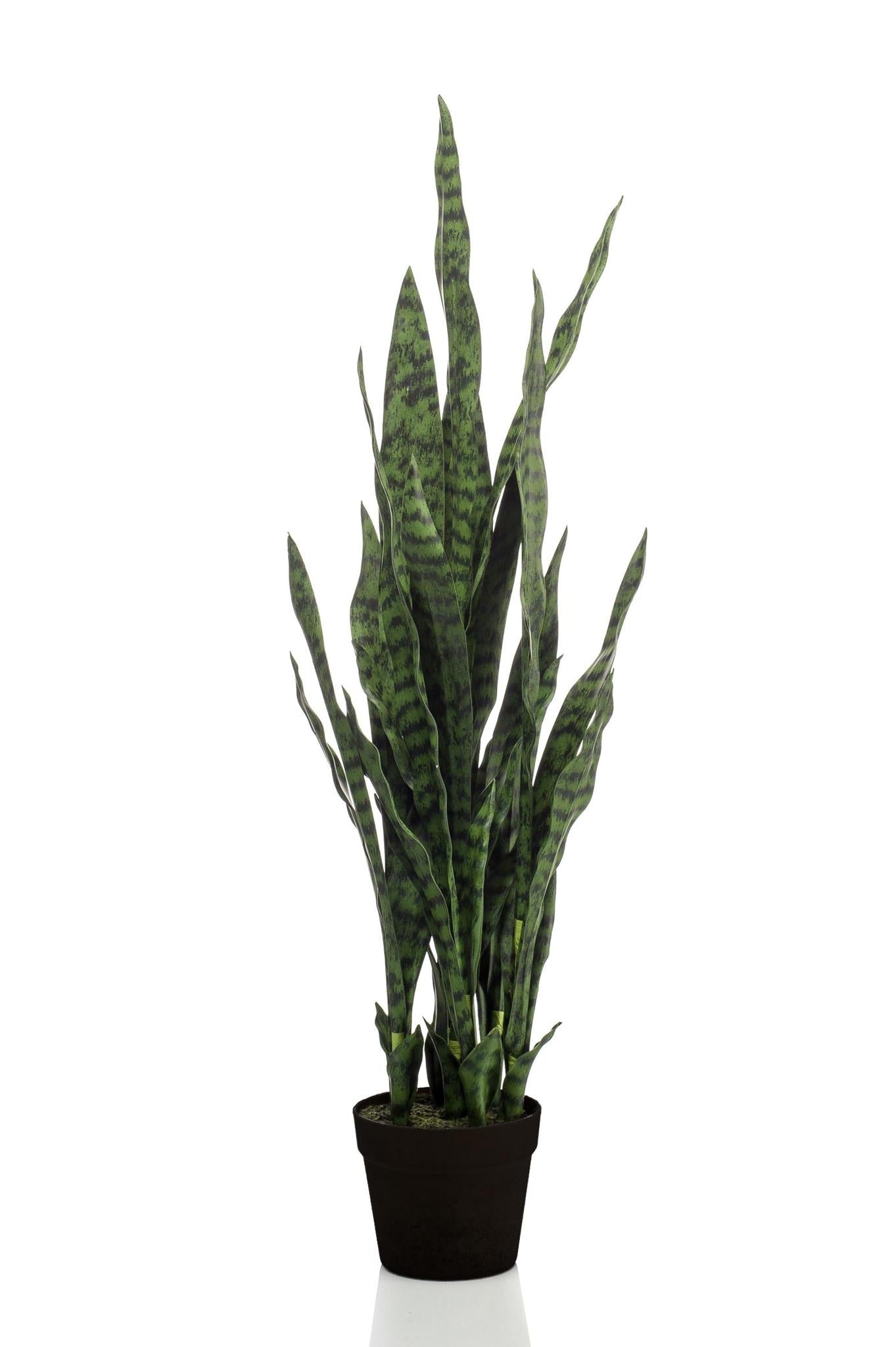 Comprar Sanseveria Black Coral Artificial