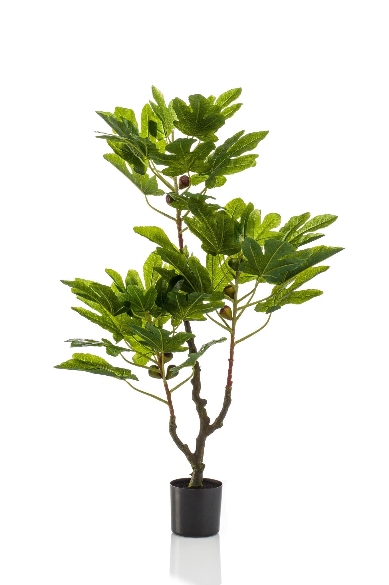 comprar Ficus Carica Artificial