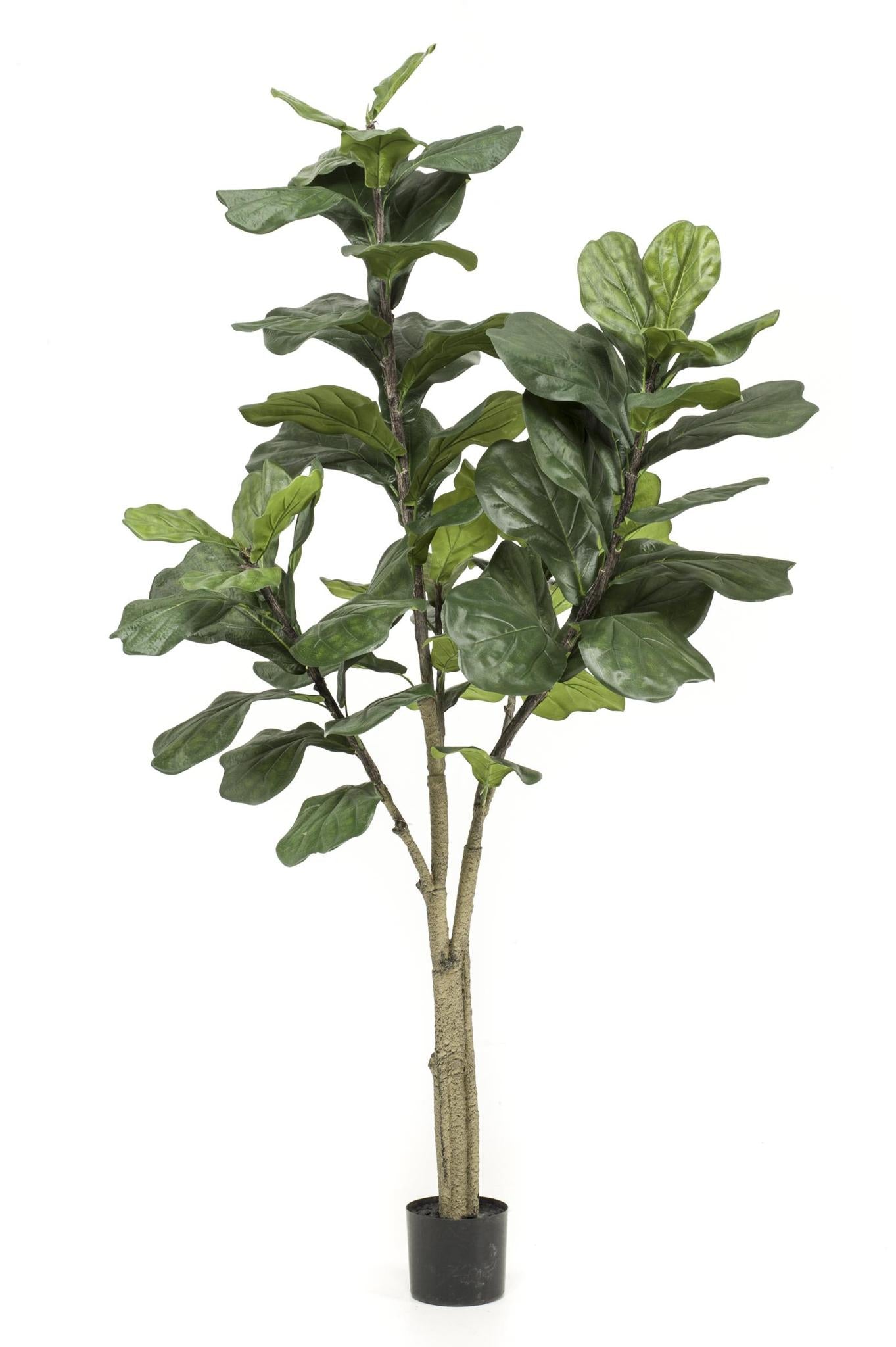 Comprar Ficus grande Artificial