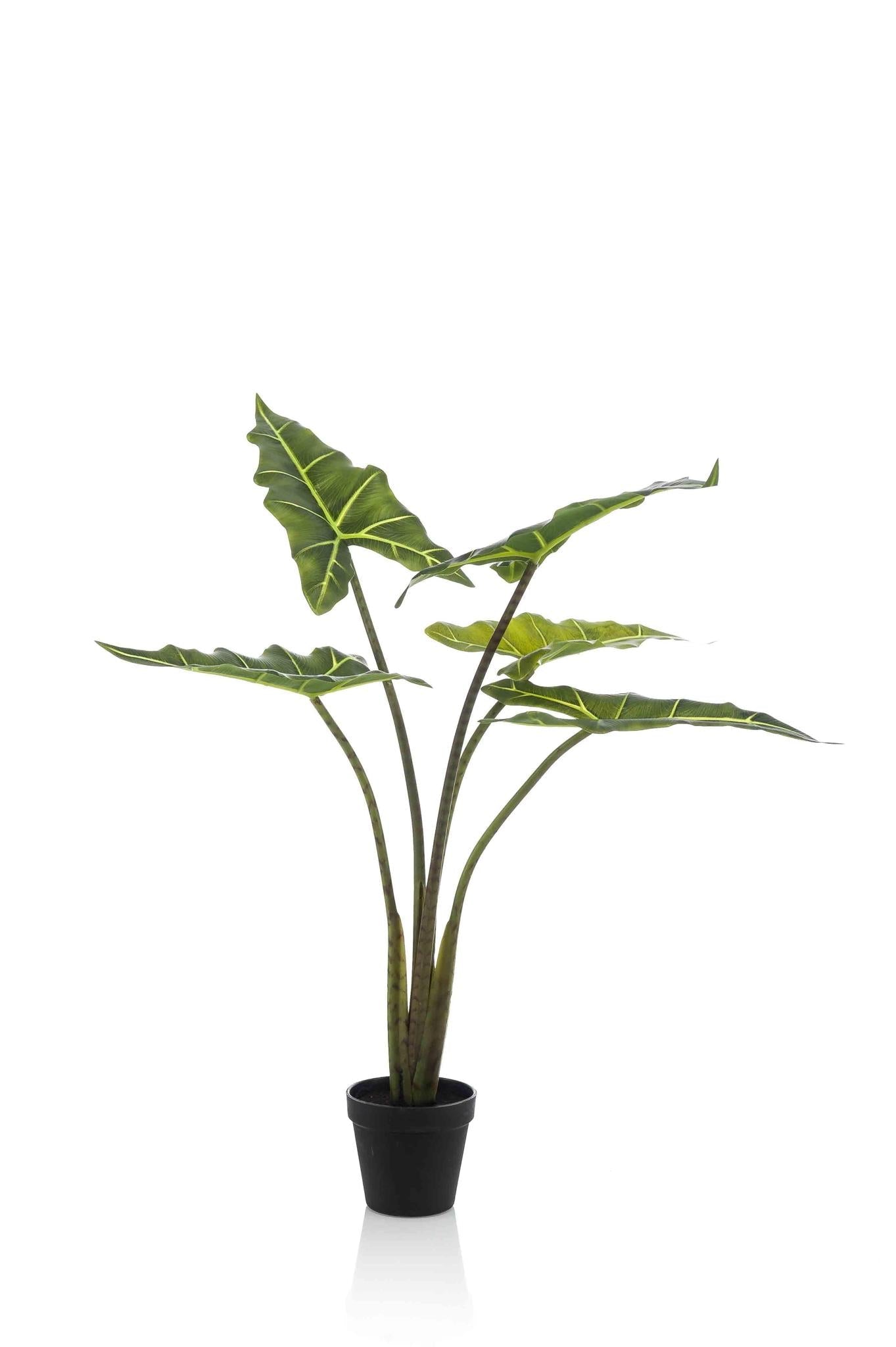 Künstliche Alocasia Frydek (Elefantenohr)