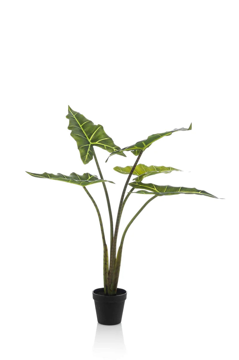 Künstliche Alocasia Frydek