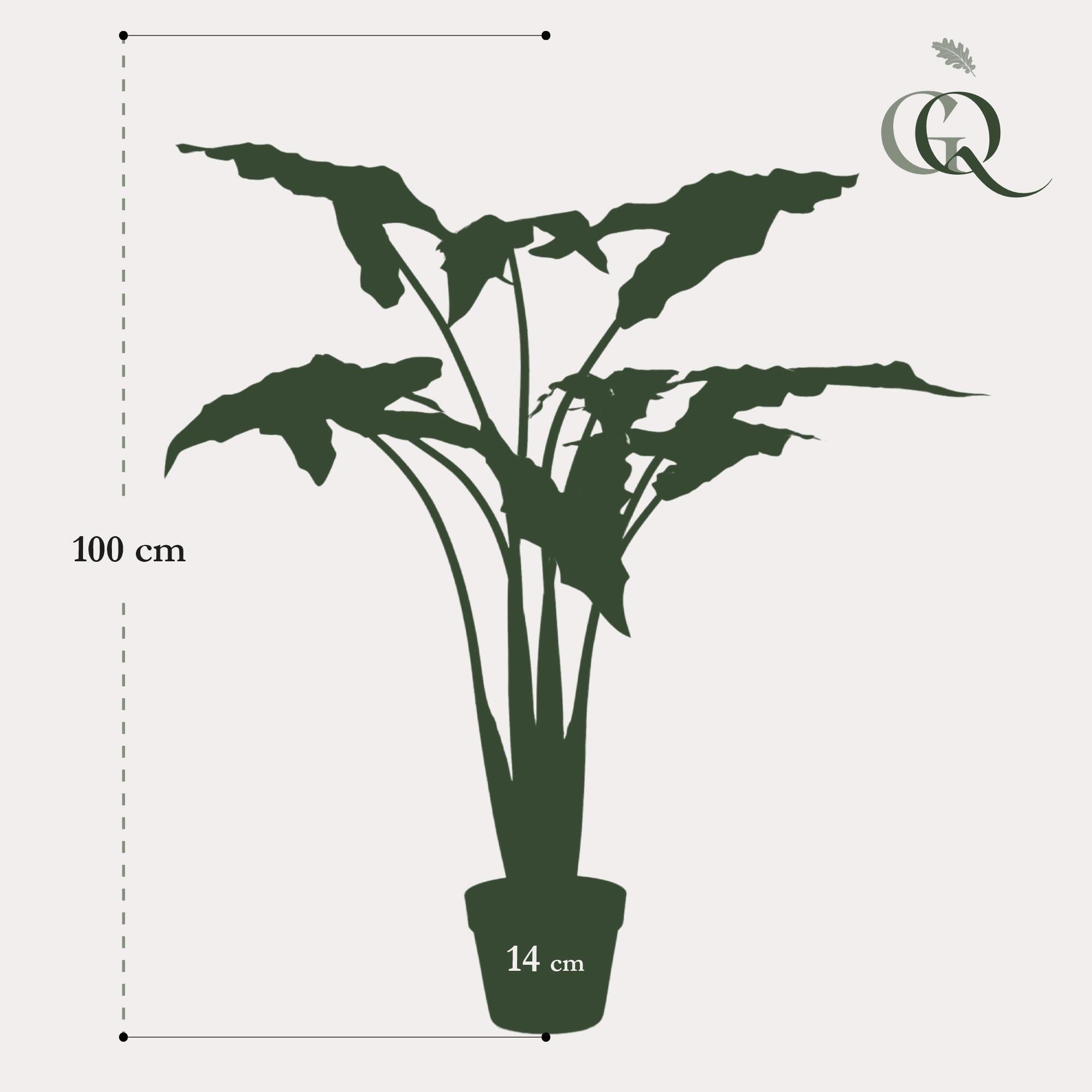 Künstliche Alocasia Frydek (Elefantenohr) online bestellen