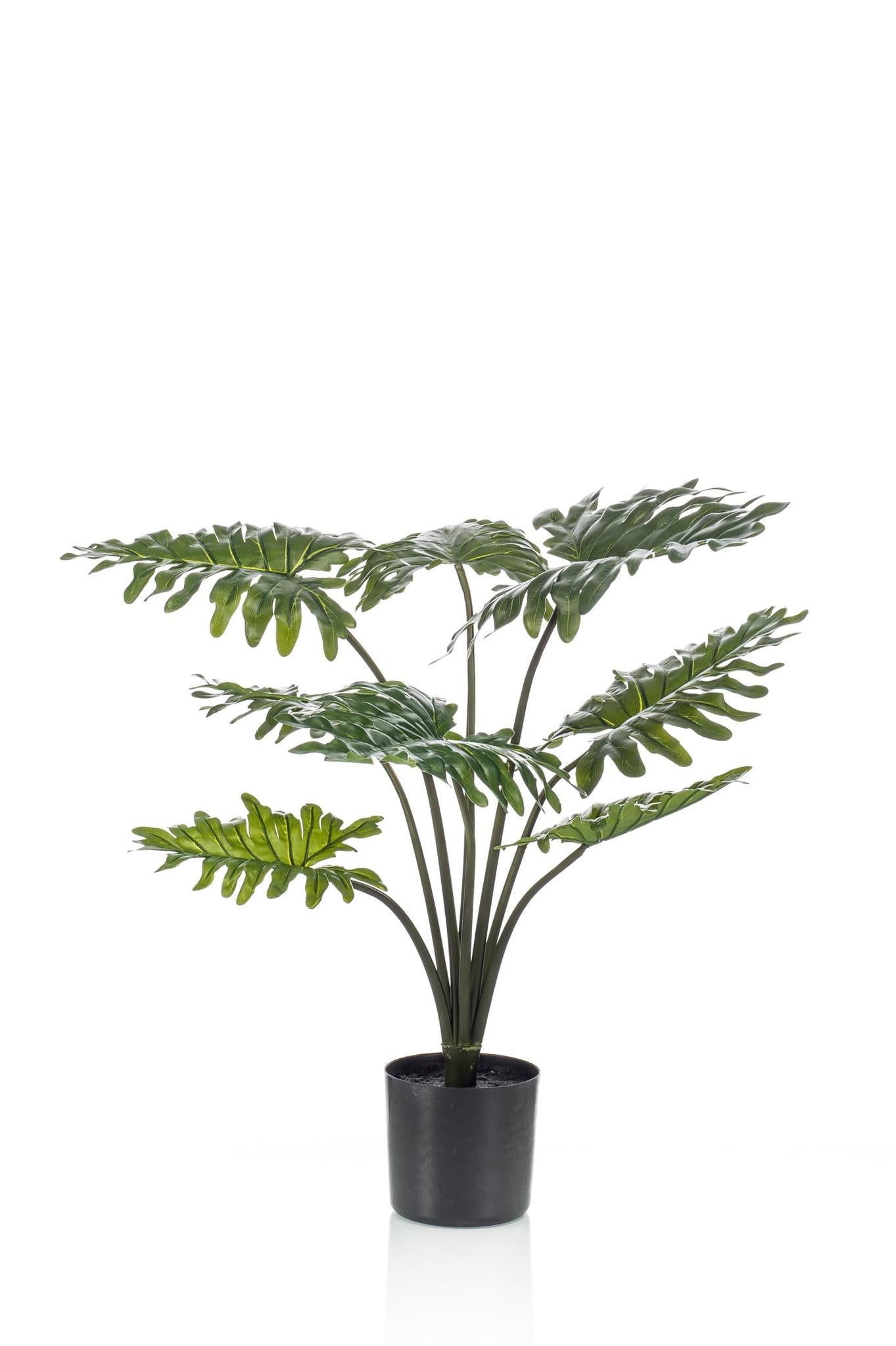 Comprar Philodendron Xanadu Artificial