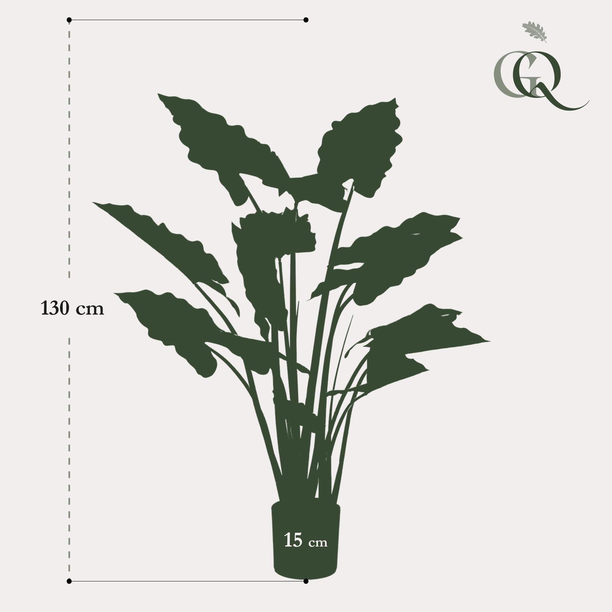 Alocasia Pink Dragon Artificial