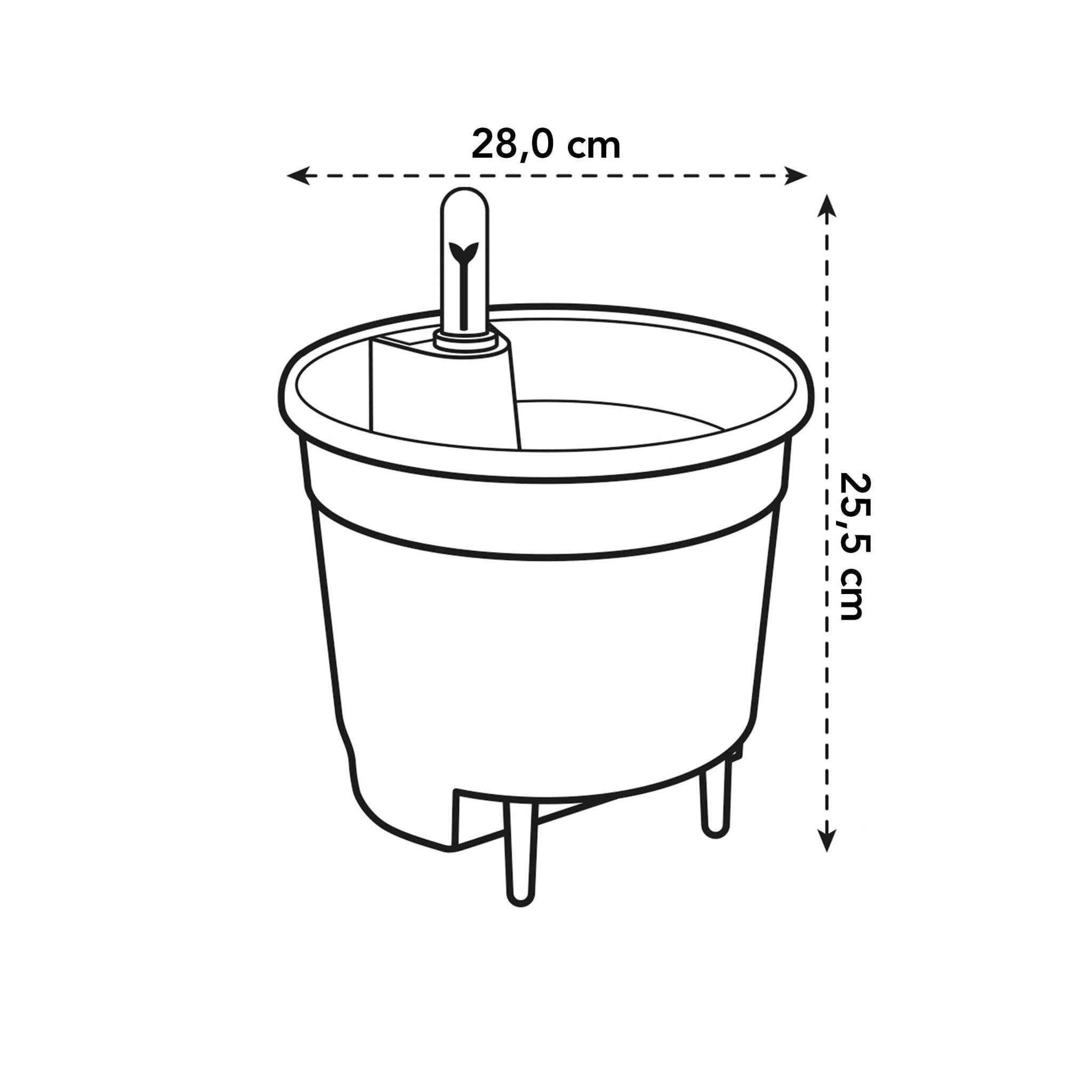 Système d’auto-arrosage pour plantes