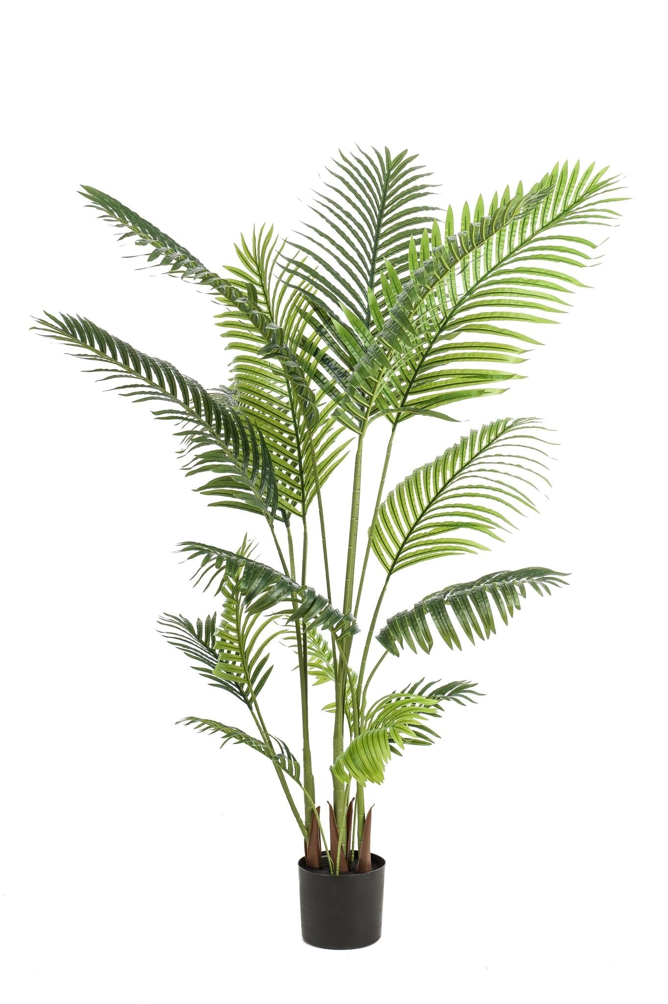 Comprar Howea Forsteriana grande Artificial