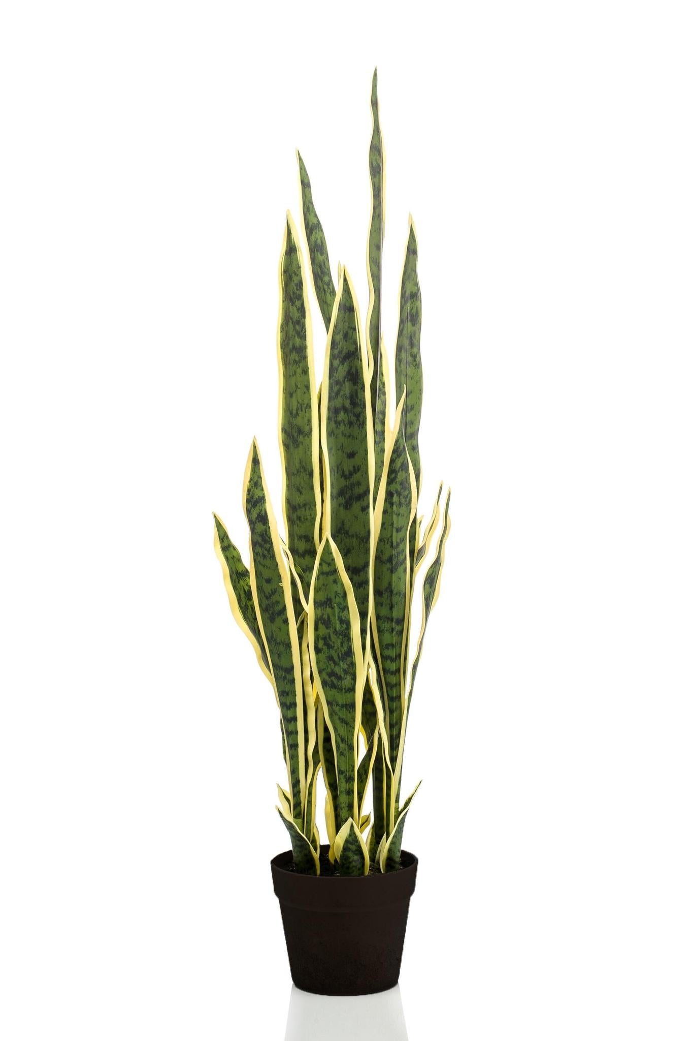 Comprar Sanseveria trifasciata artificial