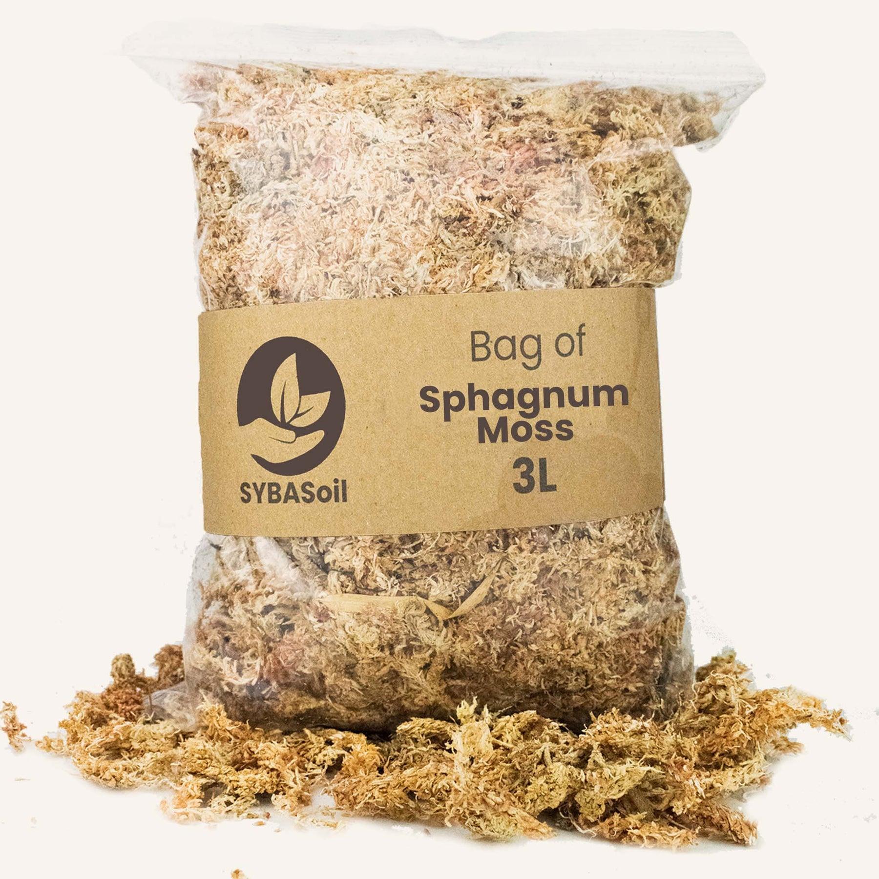 Vielseitiges Sphagnum-Moos 3L - Urbangreen Store