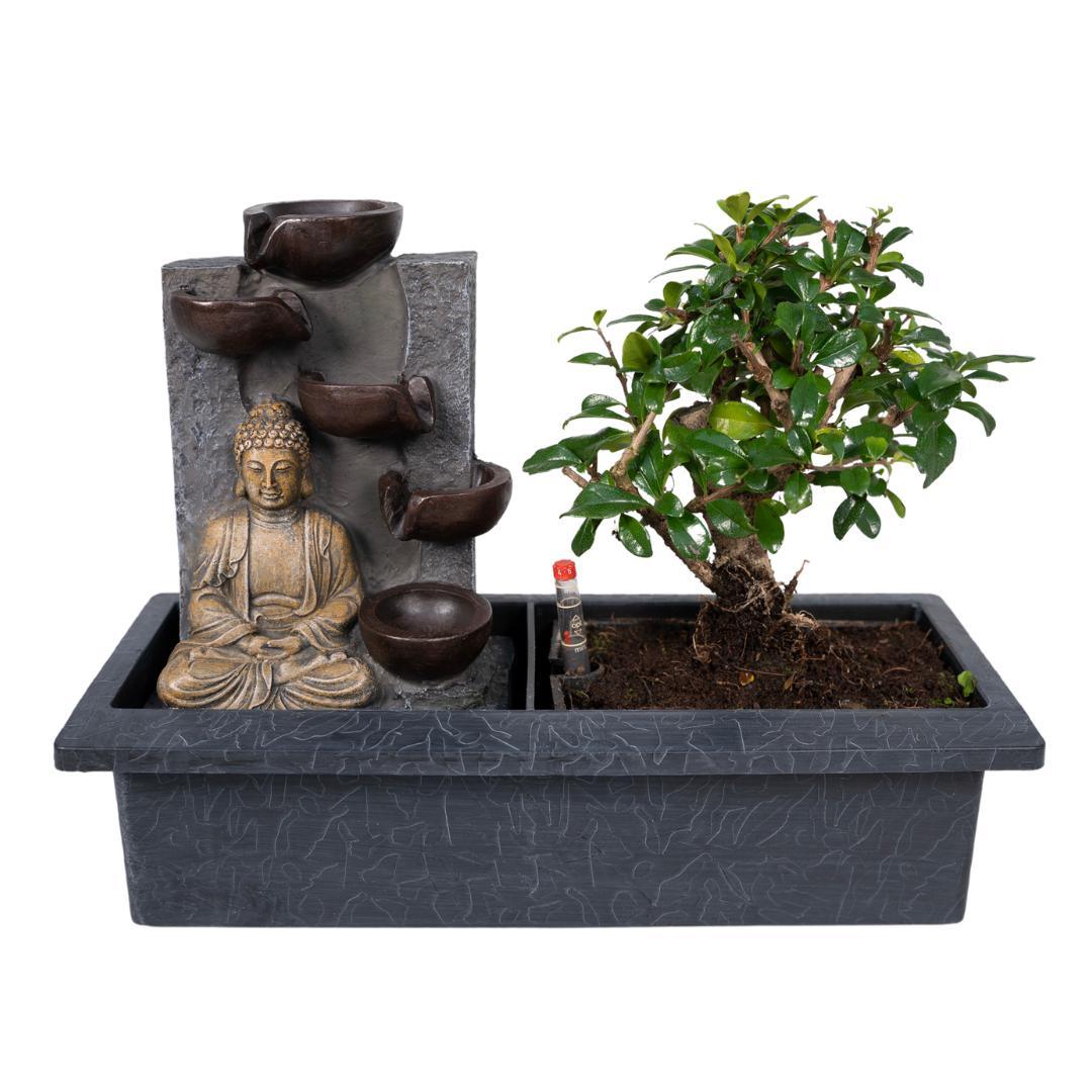 Bonsai mit Wasserfall - Buddha - Urbangreen Store