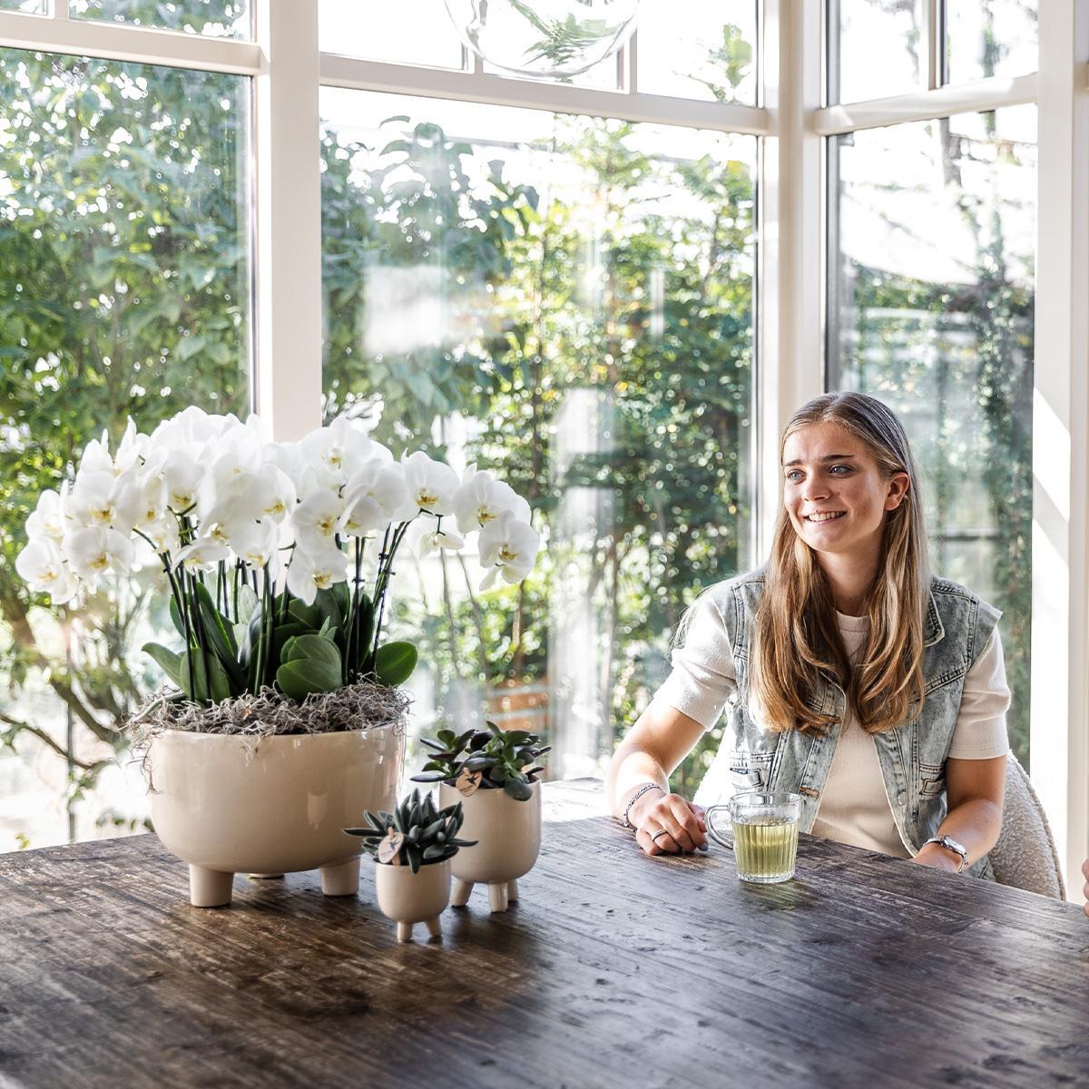 Orchidée blanche dans un pot élégant avec réservoir d'eau