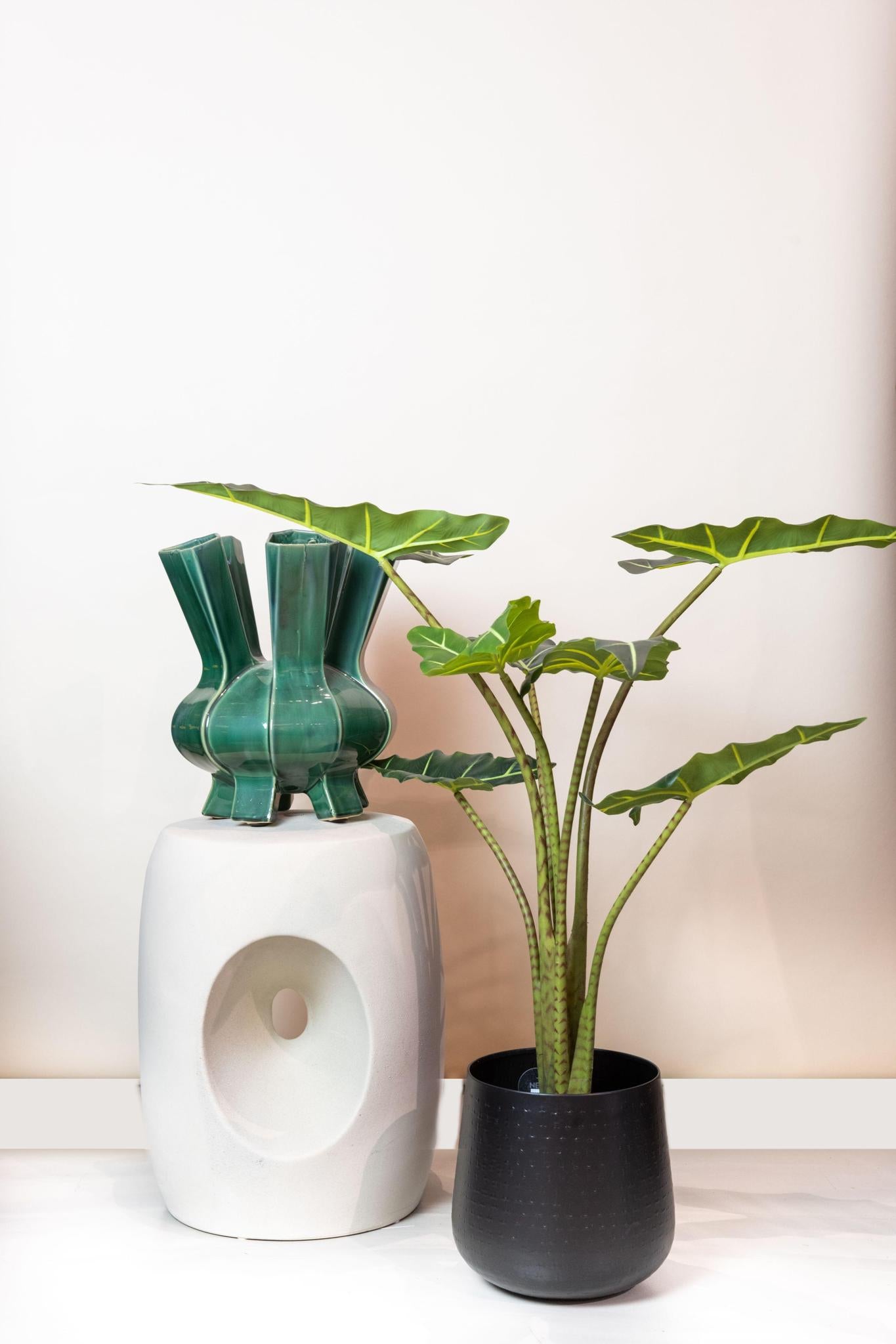 Künstliche Alocasia Frydek kaufen