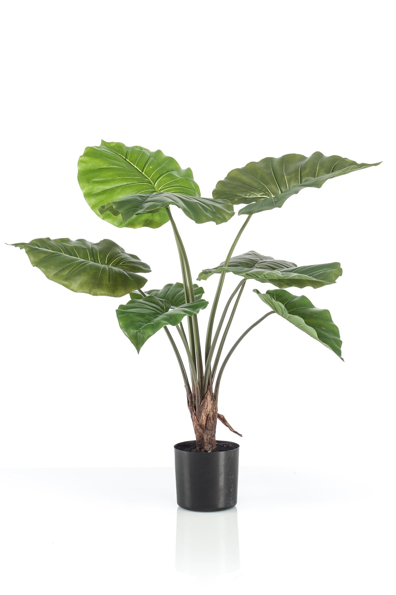 Künstliches Alocasia