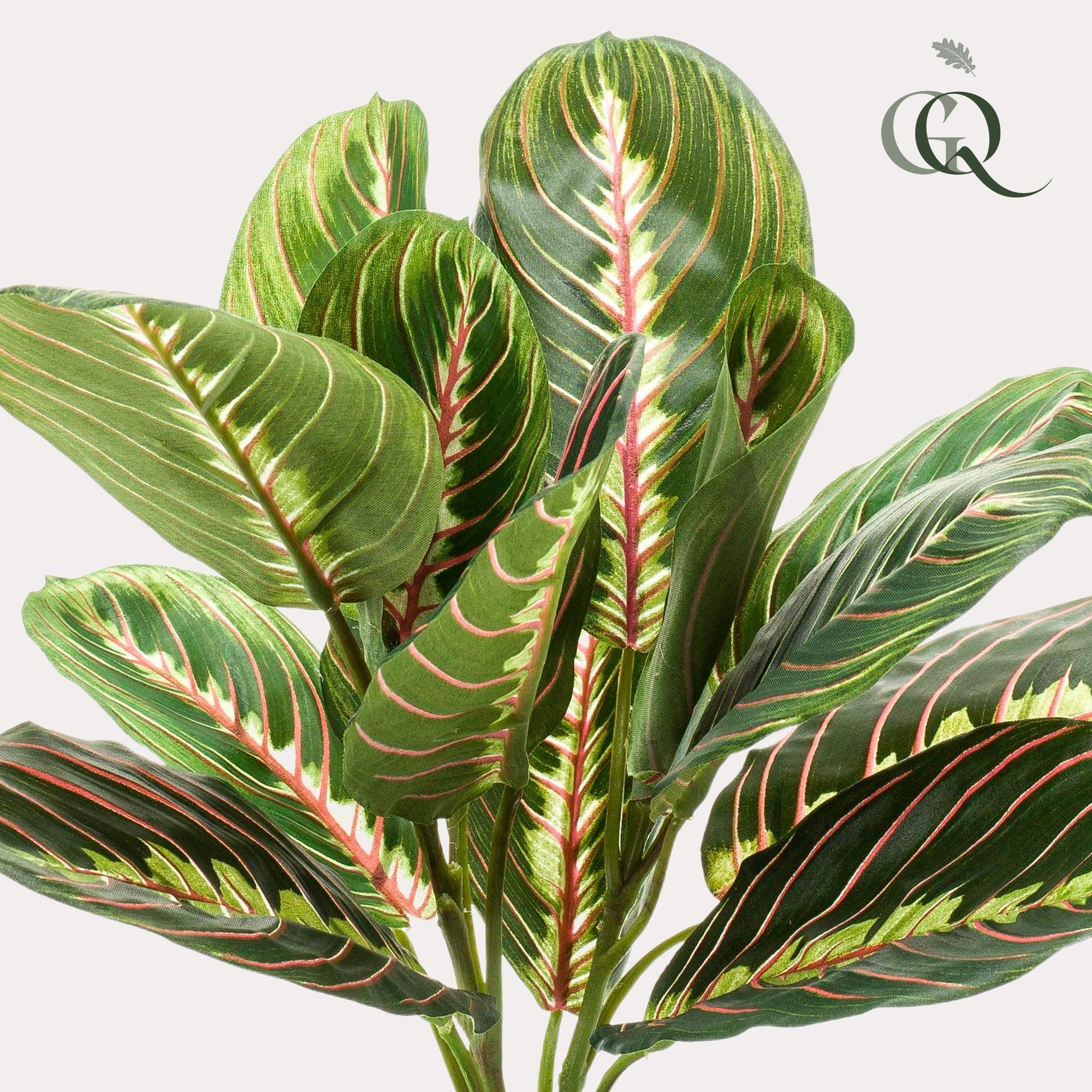 Künstlicher Maranta Leuconeura bestellen