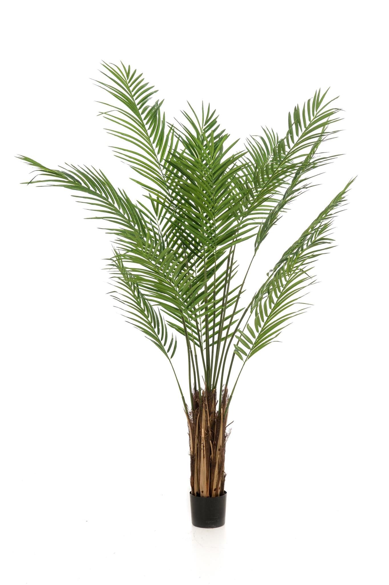 Künstliche Areca-Palme kaufen